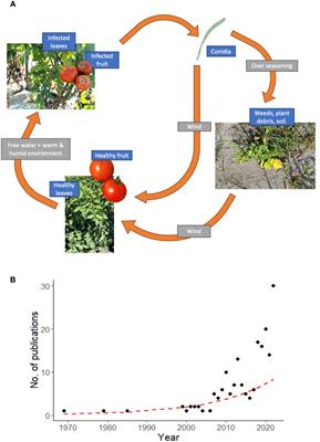 Need for disease resistance breeding against Corynespora cassiicola in crops